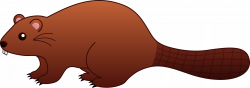 Cute beaver clipart - Clip Art Library