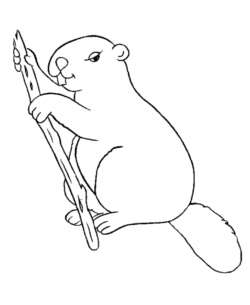 Free Beaver Pictures For Kids, Download Free Clip Art, Free ...