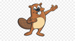 Beaver Cartoon Drawing Clip art - beaver png download - 500*500 ...