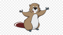 Beaver Cartoon Drawing Clip art - Tusk Beaver png download - 500*500 ...