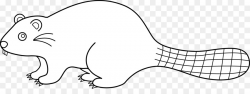 Eurasian beaver Line art Drawing Clip art - beaver png download ...