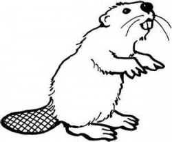 beaver stencils - Bing images | kids tshirts | Beaver ...