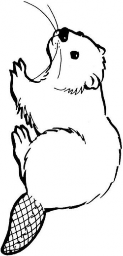 cartoon beaver images - Google Search | Designs | Pinterest ...