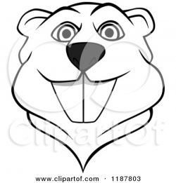 Cartoon Beaver Drawing at GetDrawings.com | Free for personal use ...