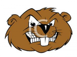 Beaver Funny Clipart