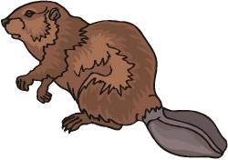 Free Beaver Clipart