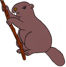 Animal Graphic Beaver | PicGifs.com