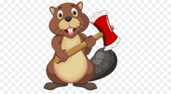 Beaver Cartoon Royalty-free Clip art - beaver png download - 500*500 ...