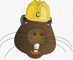 Beaver Hard hat Clip art - Helmet hamster png download - 1280*1030 ...