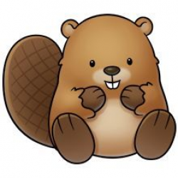 baby beaver - Google Search | Kid Stuff | Pinterest | Baby beaver ...