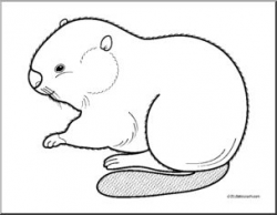Clip Art: Baby Animals: Beaver Kit (coloring page) I abcteach.com ...