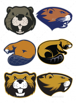 Beaver Mascot Logo | Logos, Vector pattern and Font logo