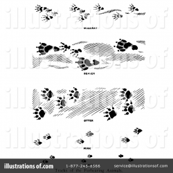 Animal Tracks Clipart #1220923 - Illustration by Picsburg
