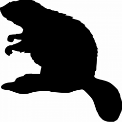 Beaver Silhouette Free Stock Photo - Public Domain Pictures