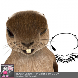 Funny Beaver Clip Art - Cartoon Cute Beaver Clipart - 14 Color Images