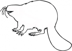 Beaver Outline coloring page | Free Printable Coloring Pages