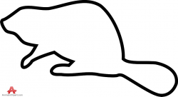 Beaver clipart outline - Pencil and in color beaver clipart outline