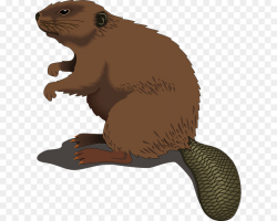North American beaver Silhouette Clip art - Wood Pile Cliparts png ...