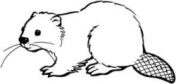 beaver drawing - Google Search | Tattoos I Like | Beaver ...