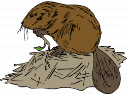 28+ Collection of Beaver Lodge Clipart | High quality, free cliparts ...