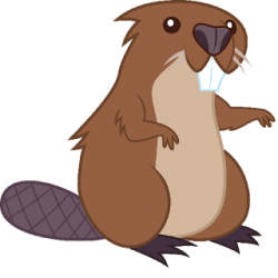 Beaver Transparent PNG Image | Web Icons PNG