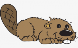 Brown Cute Beaver, Beaver, Animal PNG Image and Clipart for Free ...