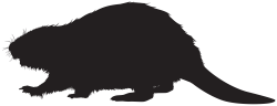 Beaver Silhouette PNG Clip Art Image | Gallery Yopriceville - High ...
