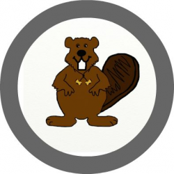 27 best Wood Badge: Beavers images on Pinterest | Wood badge ...