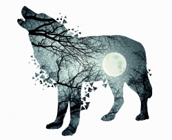 Stories of Longing: Beaver, Bear, Wolfby Monica Dragosz – Depth Insights