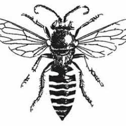 Honey Bee | ClipArt ETC | Pattern | Pinterest | Bee clipart, Bees ...