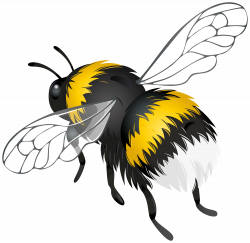 Flying Bee PNG Clipart - Best WEB Clipart