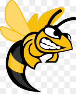Bee Vespa simillima Wasp Clip art - Bee Football Cliparts png ...