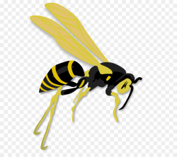 Download wasp clip art clipart Bee Hornet Clip art | Bee ...