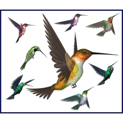 Hummingbird art - Google Search | Birds | Pinterest | Hummingbird