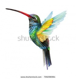 hummingbird painted in watercolor technique | CC | Pinterest ...