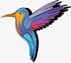 Hummingbird Color Cartoon - Bee Bird png download - 1081*949 - Free ...