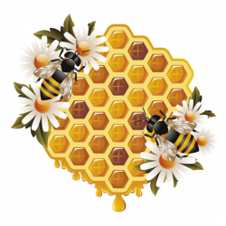 abeilles,abeja,abelha,png | Спасс | Pinterest | Bees, Honey and Clip art