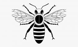 Bees Clipart Simple - Simple Honey Bee Bee Drawing #1286147 ...
