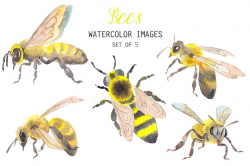 Watercolor Bees Clipart ~ Illustrations ~ Creative Market
