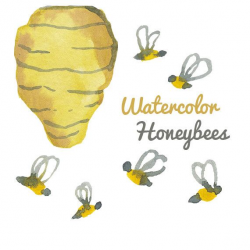 Watercolor Honey Bee Clip Art Image Pack Bees Clipart Digital ...