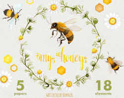 Bee watercolor clipart Bee My Honey honeycomb background