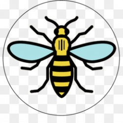 Free download Manchester Storm Worker bee Symbols of Manchester ...