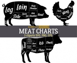 Meat charts SVG Beaf Cow Pork Pig Chicken meat cut svg