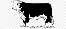 Cow Background clipart - Beef, Steak, Ox, transparent clip art