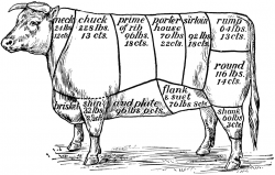 Cuts of Beef | Clipart Panda - Free Clipart Images