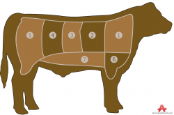 Beef Cattle Body Parts | Free Clipart Design Download