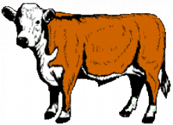 Beef Cow Clip Art | Clipart Panda - Free Clipart Images