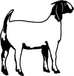 Boer Goat Clip Art | do NOT have to own goats or have ANY previous ...