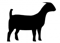 Boer Goat Silhouette | Clipart Panda - Free Clipart Images | Showing ...