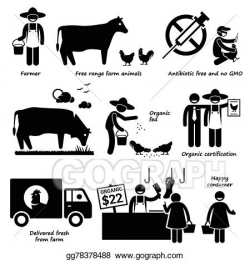 Vector Art - Organic meat beef chicken. Clipart Drawing ...